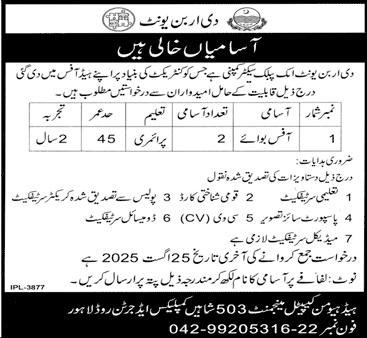 Jobs in The Urban Unit Lahore-1